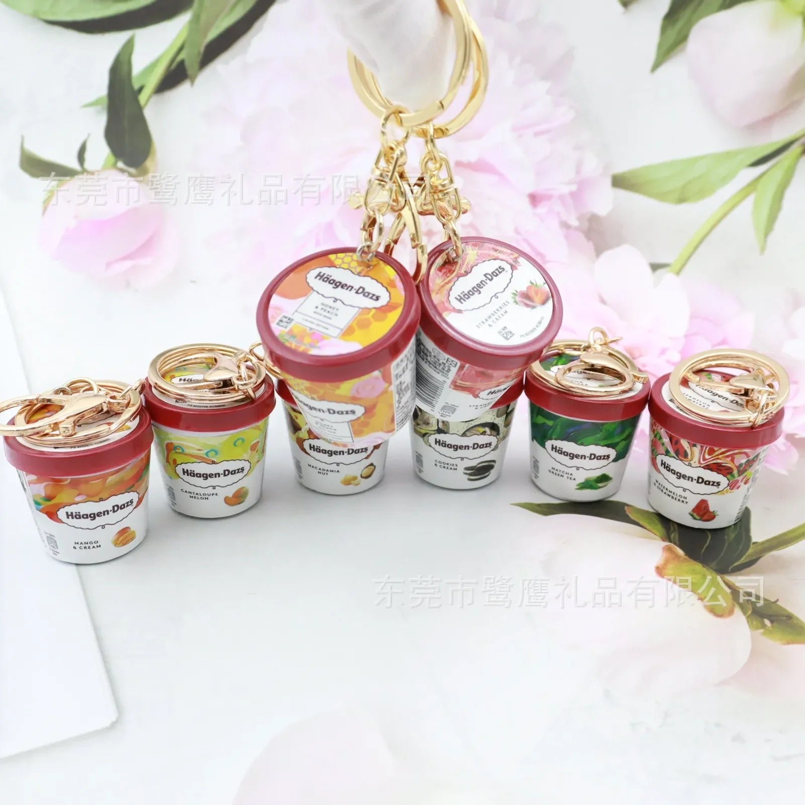 Haagen-Daazs Ice-Cream Delight Keychain - Image 2